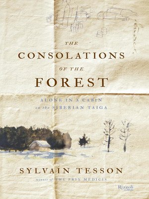 cover image of The Consolations of the Forest